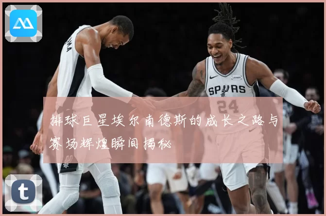 排球巨星埃尔南德斯的成长之路与赛场辉煌瞬间揭秘
