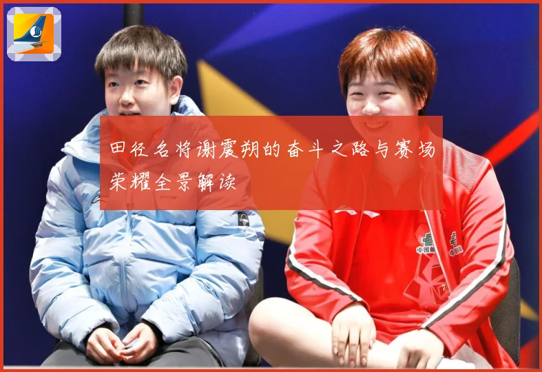 田径名将谢震朔的奋斗之路与赛场荣耀全景解读