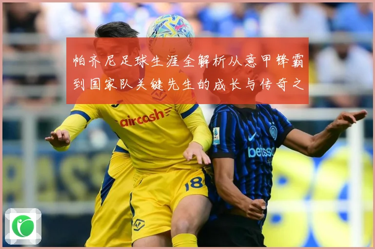 帕齐尼足球生涯全解析从意甲锋霸到国家队关键先生的成长与传奇之路