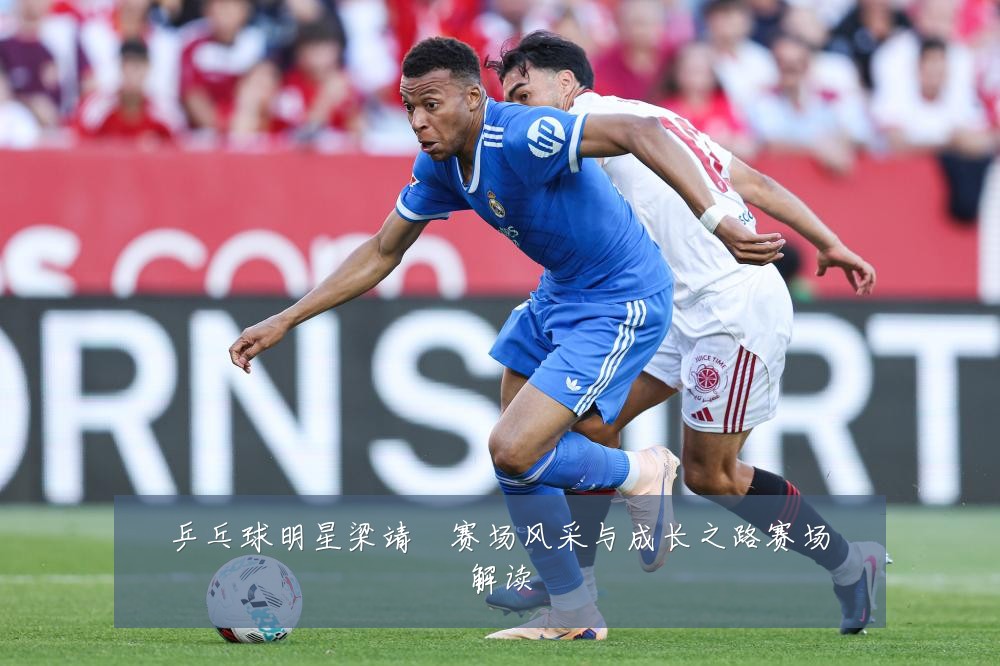 乒乓球明星梁靖崑赛场风采与成长之路赛场解读